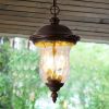 19"(H) Rustic Outdoor Hanging Lantern, Weatherproof Vintage Pendant Light with Clear Glass Shade, Waterproof Exterior Lighting Fixture for Porch