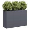 Planter Anthracite Cold-rolled Steel Large Durable Planter