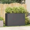 Planter Black Cold-Rolled Steel Large Planters Planter