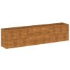 Garden Raised Bed 114.57 x 19.69 x 27.17 in