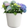 Extra Large 22in Diameter Cream Aspen Resin Planter